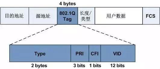 超91视频的VLAN技術